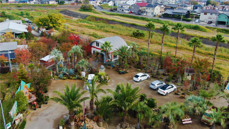植木販売 | 群馬,ガーデニング,エクステリア,造園｜さかい造園